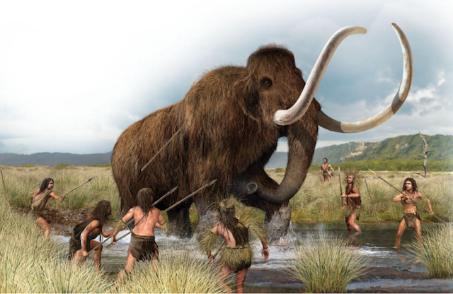 Hunting Mammoth